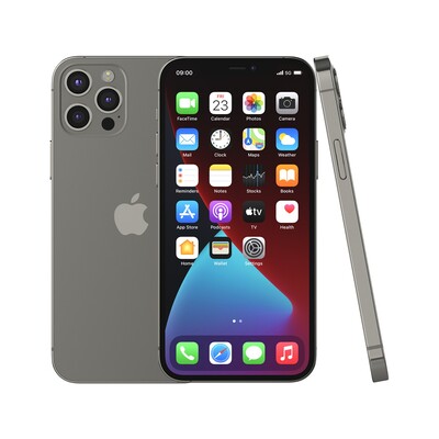 Apple iPhone 12 Pro 256 GB grafitno siva