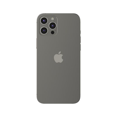 Apple iPhone 12 Pro Max 256 GB grafitno siva