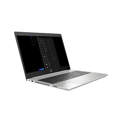HP ProBook 450 G6 (5DZ78AV) srebrna