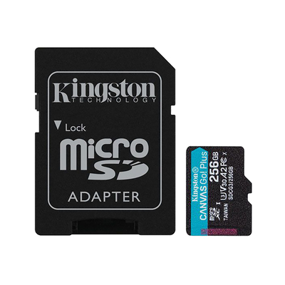 Kingston Spominska kartica Canvas Go Plus 256 GB