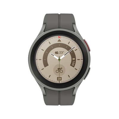 Samsung Pametna ura Galaxy Watch5 Pro BT (SM-R920) titan siva