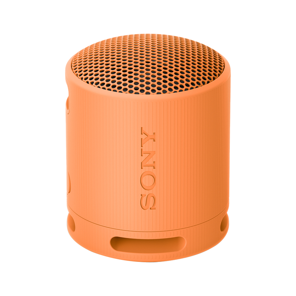 Sony Bluetooth zvočnik SRSXB100D
